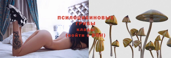 spice Алексин
