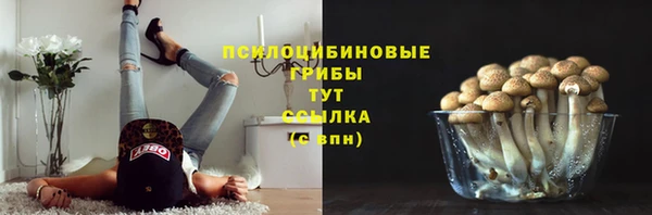 spice Алексин