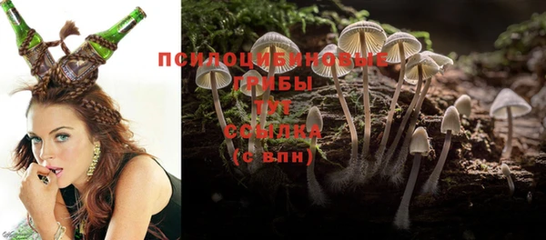 МДПВ Алексеевка