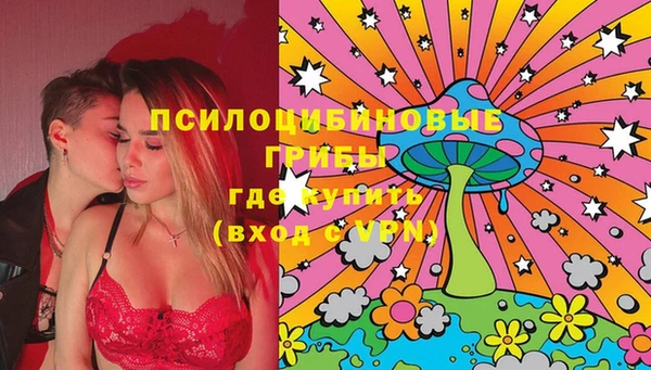 spice Алексин