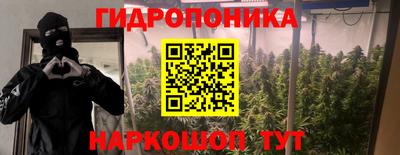 индика Краснознаменск