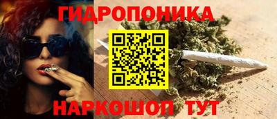 индика Краснознаменск