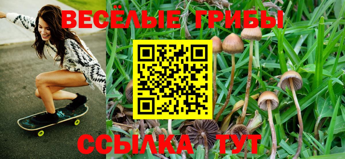 Псилоцибиновые грибы ЛСД Лабытнанги