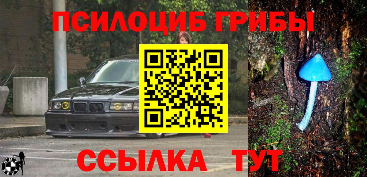 Галлюциногенные грибы Psilocybine cubensis  Вход с VPN  Лабытнанги  Псилоцибиновые грибы ЛСД 
