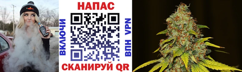 Каннабис SATIVA & INDICA  как найти наркотики  Лабытнанги 